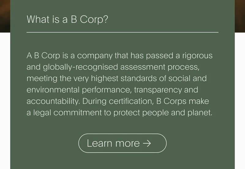 What is a b corp?