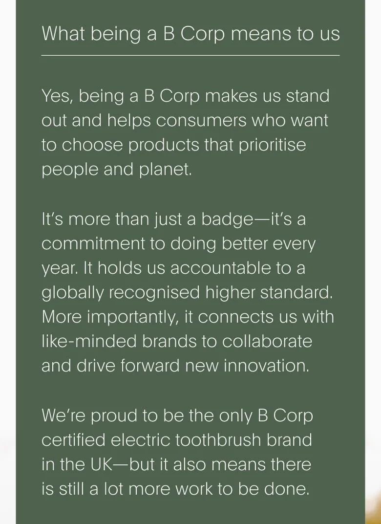 What being a b corp means to us