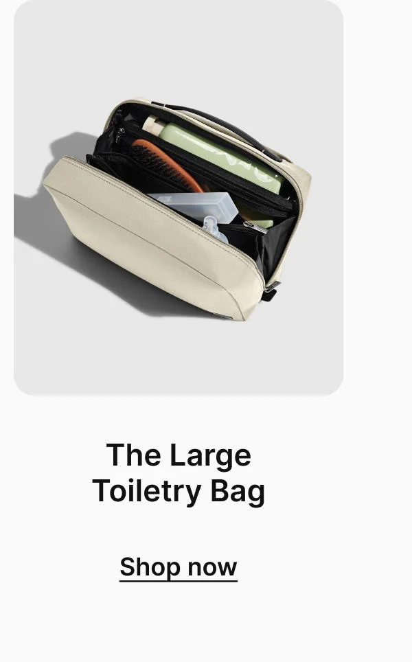 The Large Toiletry Bag