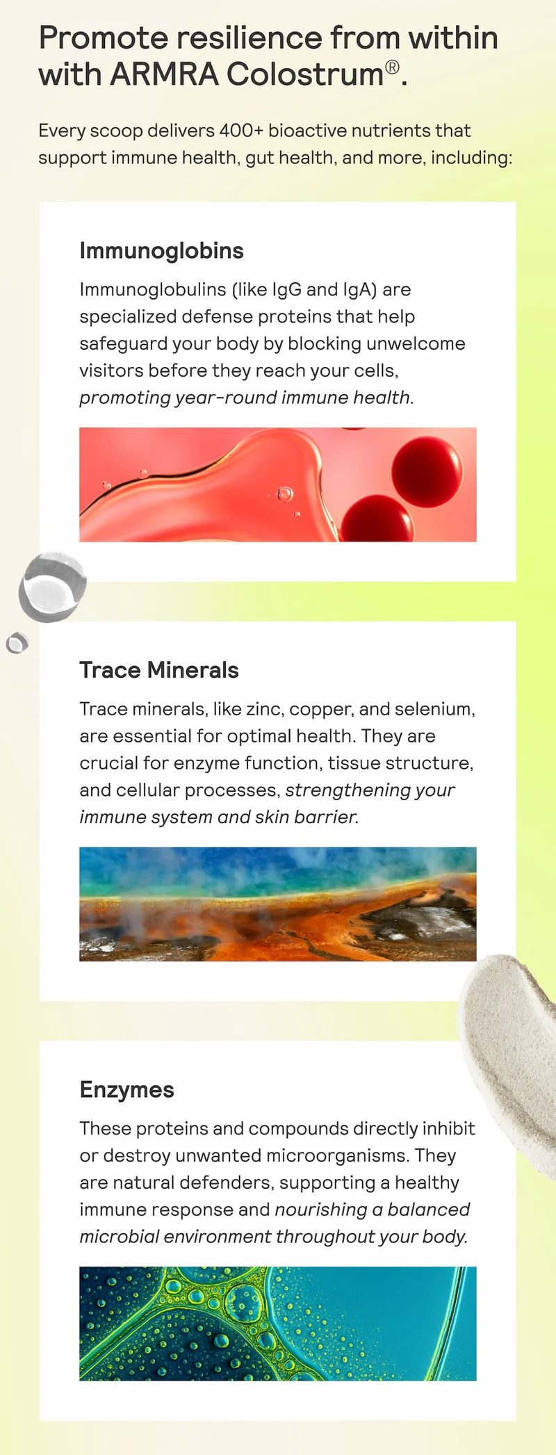 Graphic showing ARMRA Colostrum nutrients: Immunoglobins, Trace Minerals, and Enzymes with descriptions and colorful imagery.