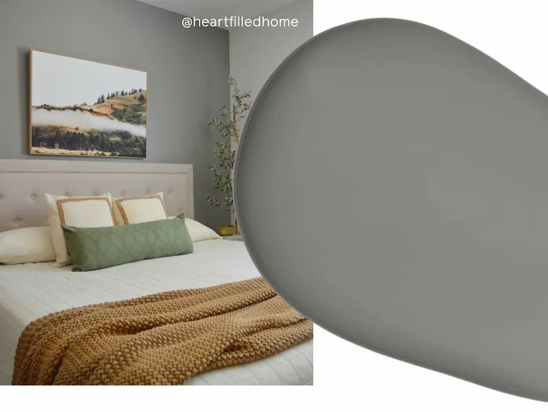 Bedroom accent wall in paint color Shade