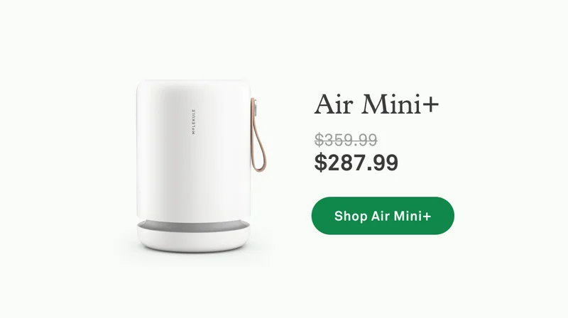 Air Mini+