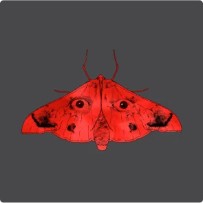 Moth and their eyes T-Shirt