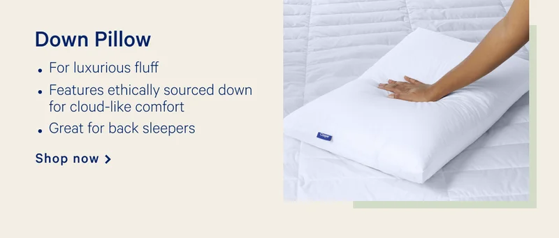 Down Pillow >>
