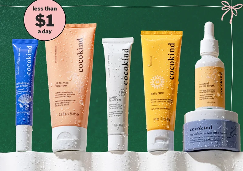 less than $1 a day