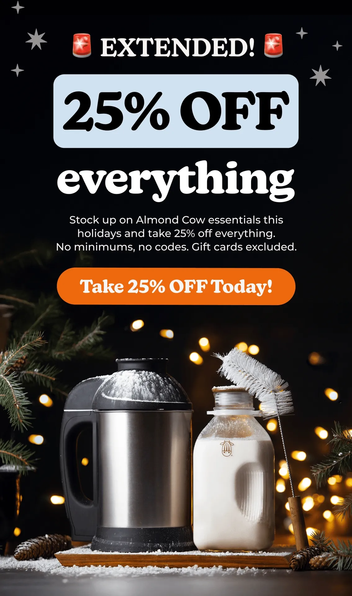 Biggest Sale of the Year! 25% Off Everything