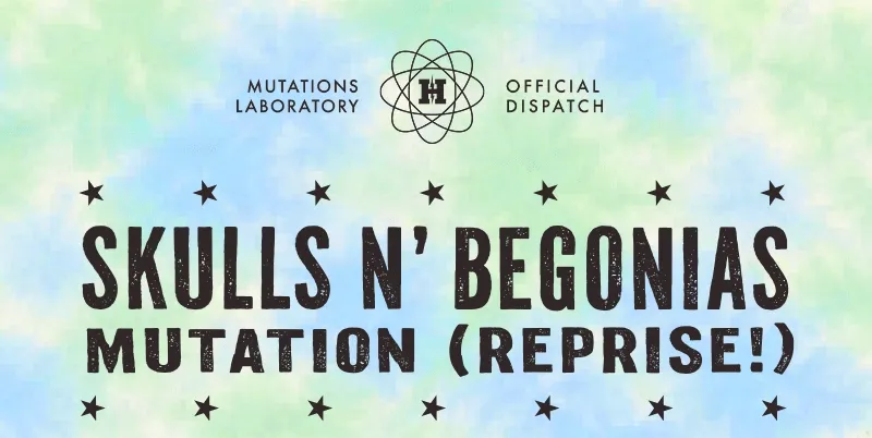 SKULLS N' BEGONIAS MUTATION (REPRISE!)