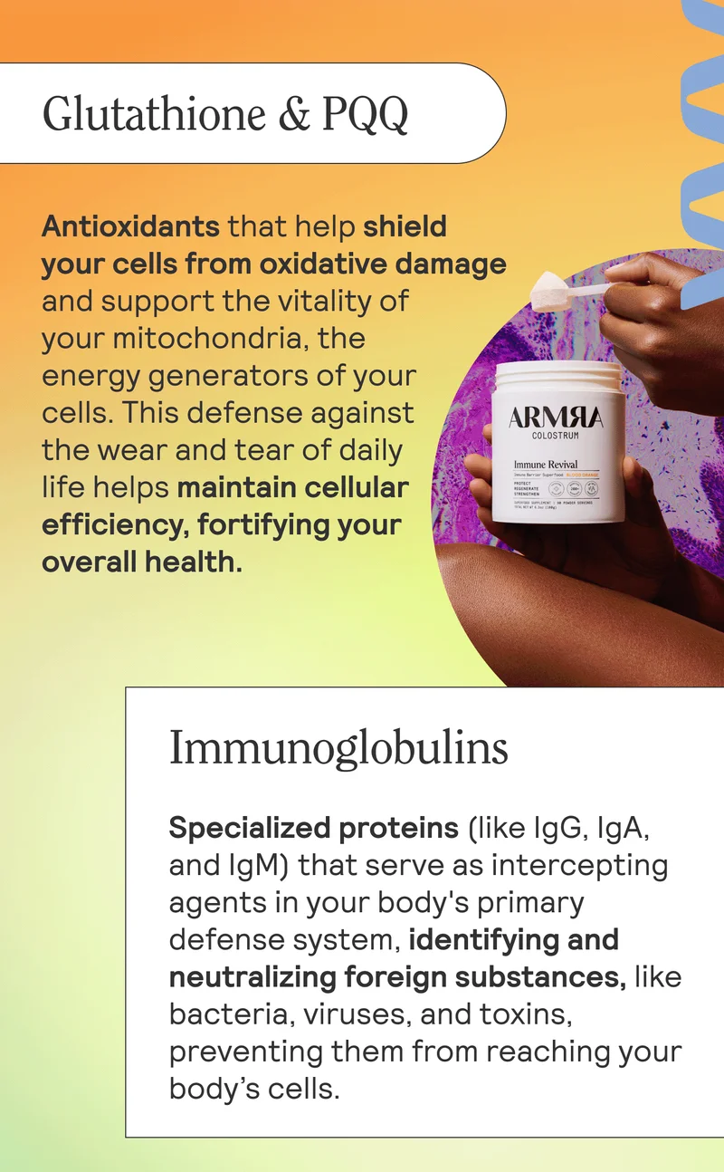 GLUTATHIONE & PQQAntioxidants that help shield your cells from oxidative damage and support the vitality of your mitochondria, the energy generators of your cells. This defense against the wear and tear of daily life helps maintain cellular efficiency, fortifying your overall health.  IMMUNOGLOBULINSSpecialized proteins (like IgG, IgA, and IgM) that serve as intercepting agents in your body's primary defense system, identifying and neutralizing foreign substances, like bacteria, viruses, and toxins, preventing them from reaching your body’s cells.