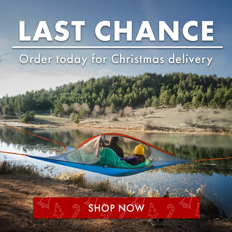 Last Chance For Christmas Delivery