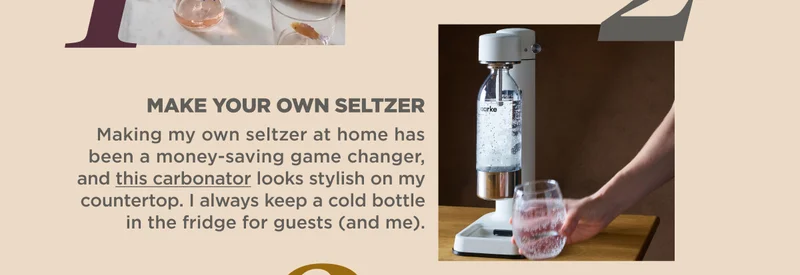MAKE YOUR OWN SELTZER