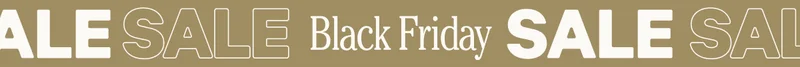 Black Friday Sale