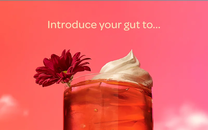 Introduce your gut to…