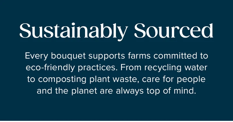 Sustainably Sourced: Every bouquet supports farms committed to eco-friendly practices. From recycling water to composting plant waste, care for people  and the planet are always top of mind.