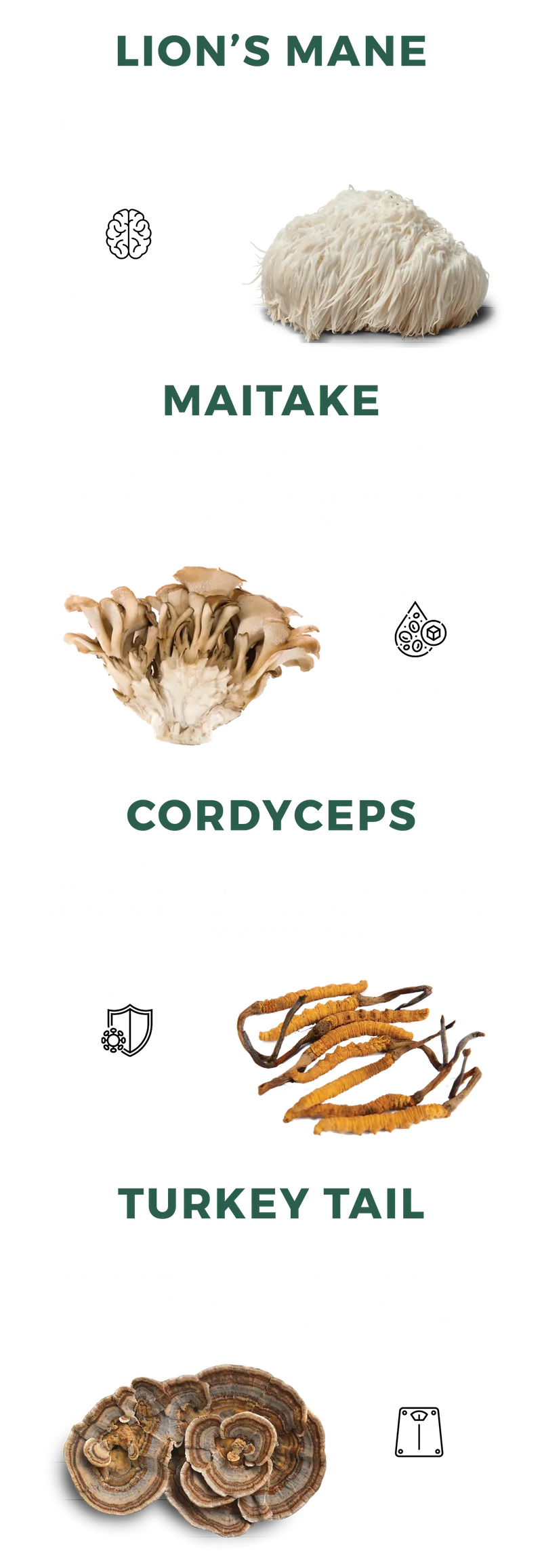 MUSHROOMS 101
