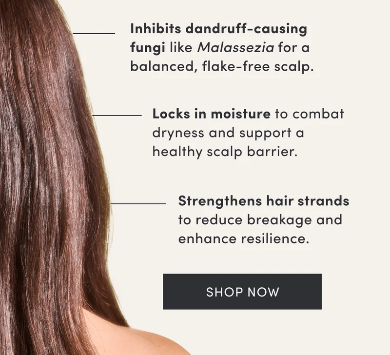 Inhibits dandruff-causing fungi like Malassezia for a balanced, flake-free scalp. | Locks in moisture to combat dryness and support a healthy scalp barrier. | Strengthens hair strands to reduce breakage and enhance resilience. | Shop now