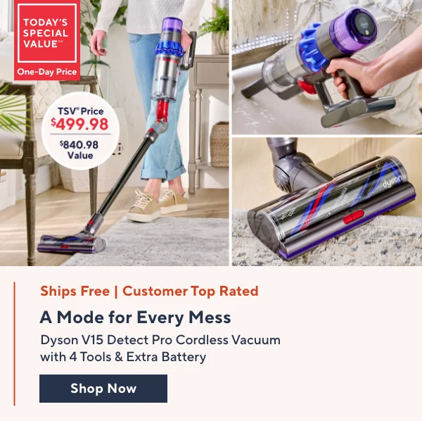 Dyson TSV