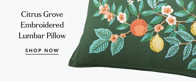 Shop Citrus Grove Embroidered Lumbar Pillow