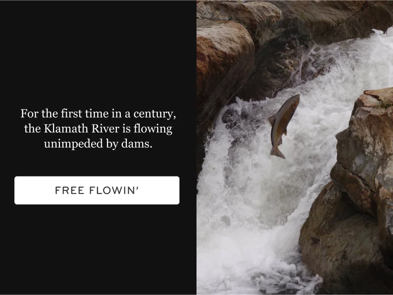 Klamath River is flowing free
