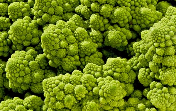 vegetables