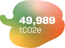 49,989 tCO2e