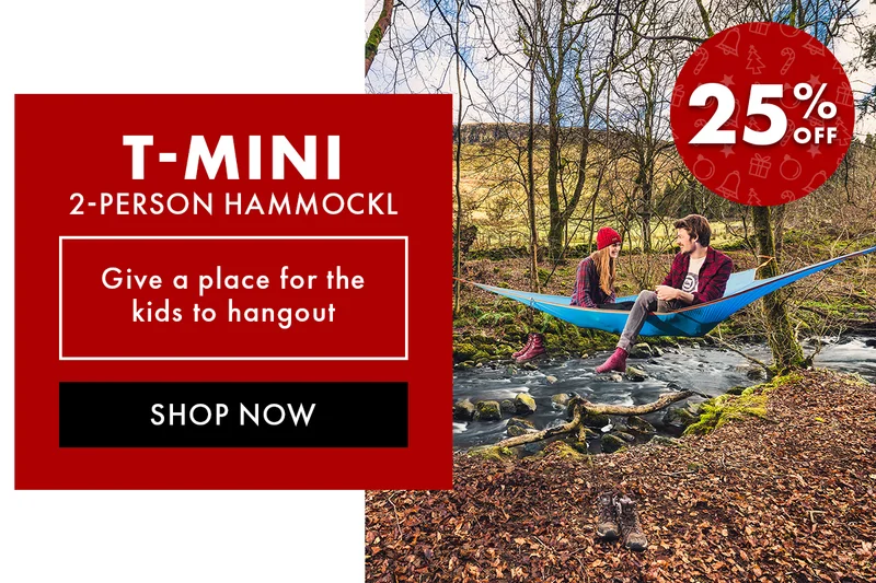 25% Off T-Mini