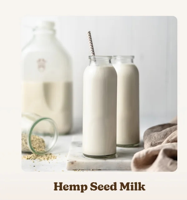 Hemp Seed Milk recipe