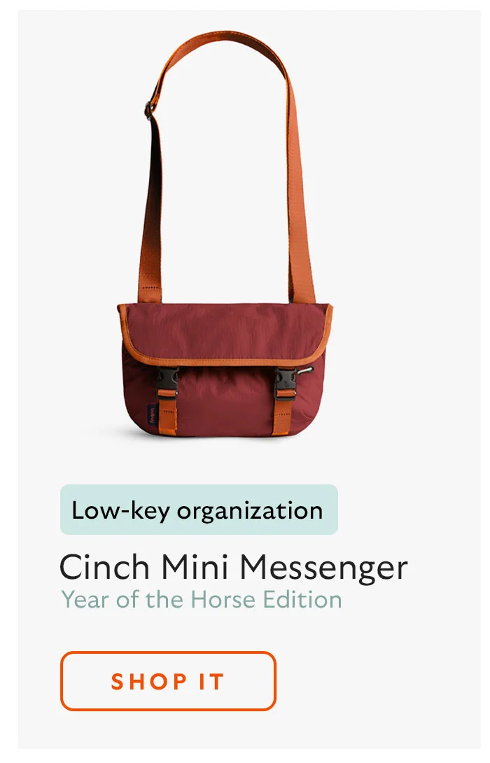 Cinch Mini Messenger