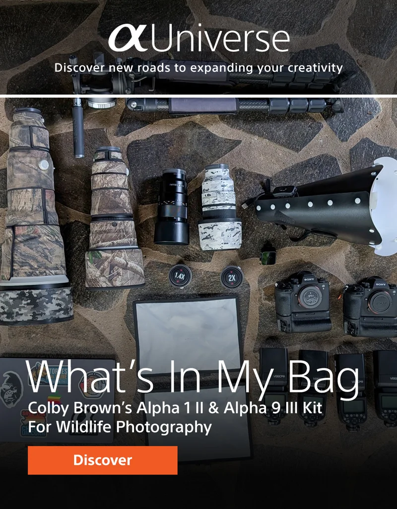 What's in my bag? Colby Brown's Alpha 1 II & Alpha 9 III Kit for Wildlife Photography | Discover