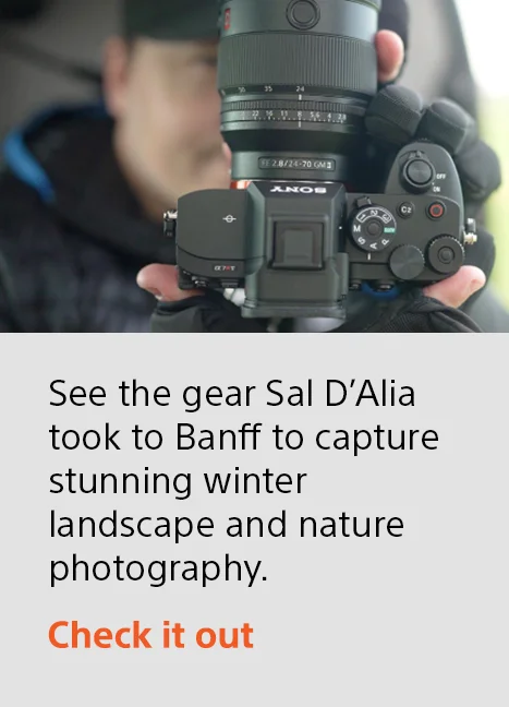 See the gear Sal D’Alia took to Banff to capture stunning winter landscape and nature photography. | Check it out