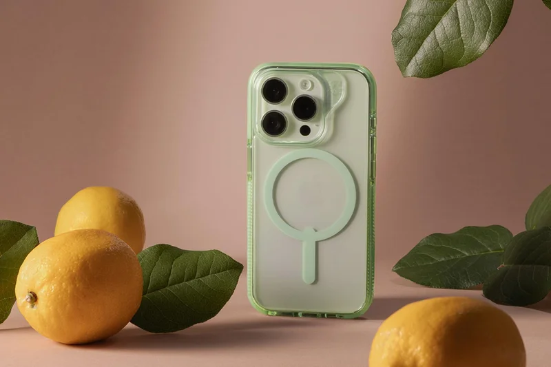 Santa Cruz case