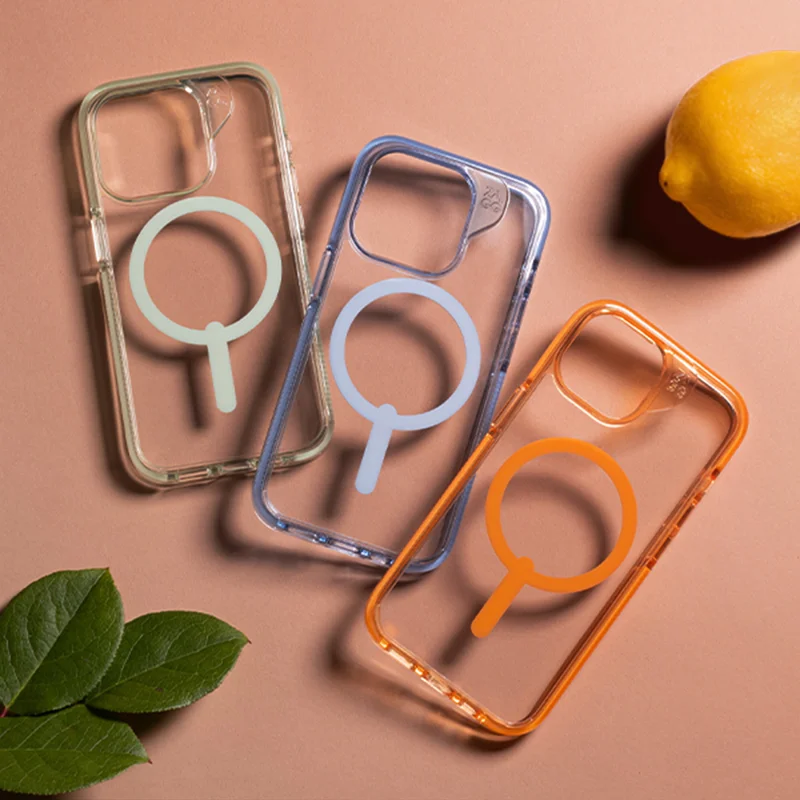 Santa Cruz case