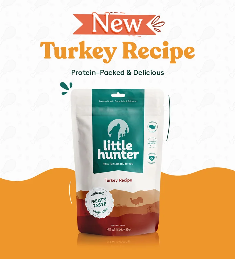 New Turkey Recipe