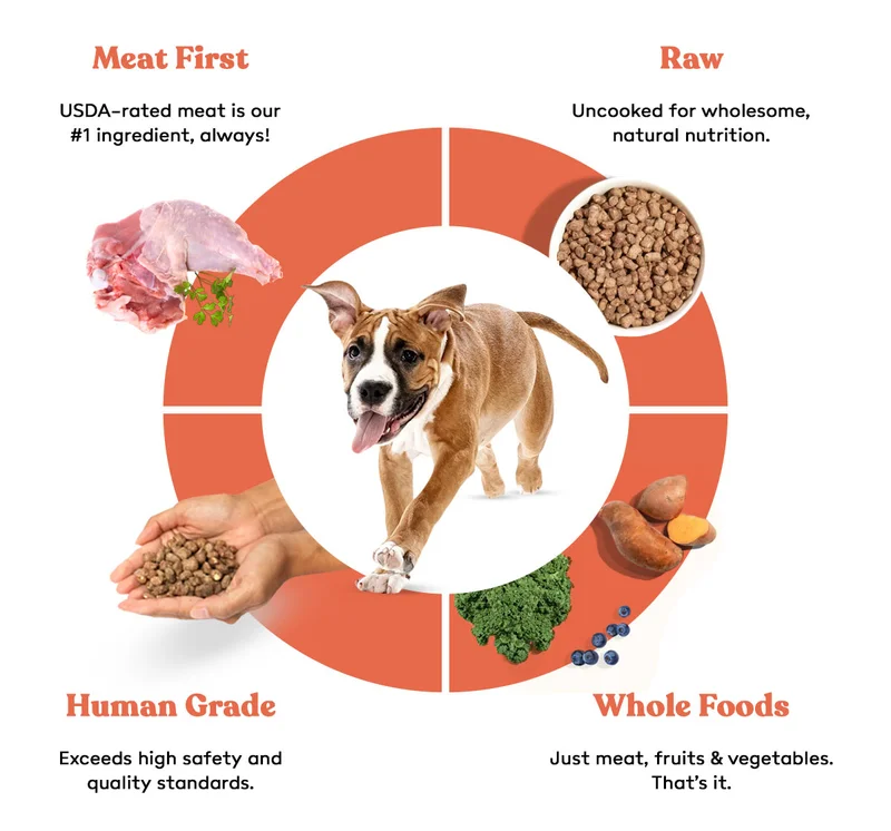 Superfoods for Dogs, the best ingredients for your best friend