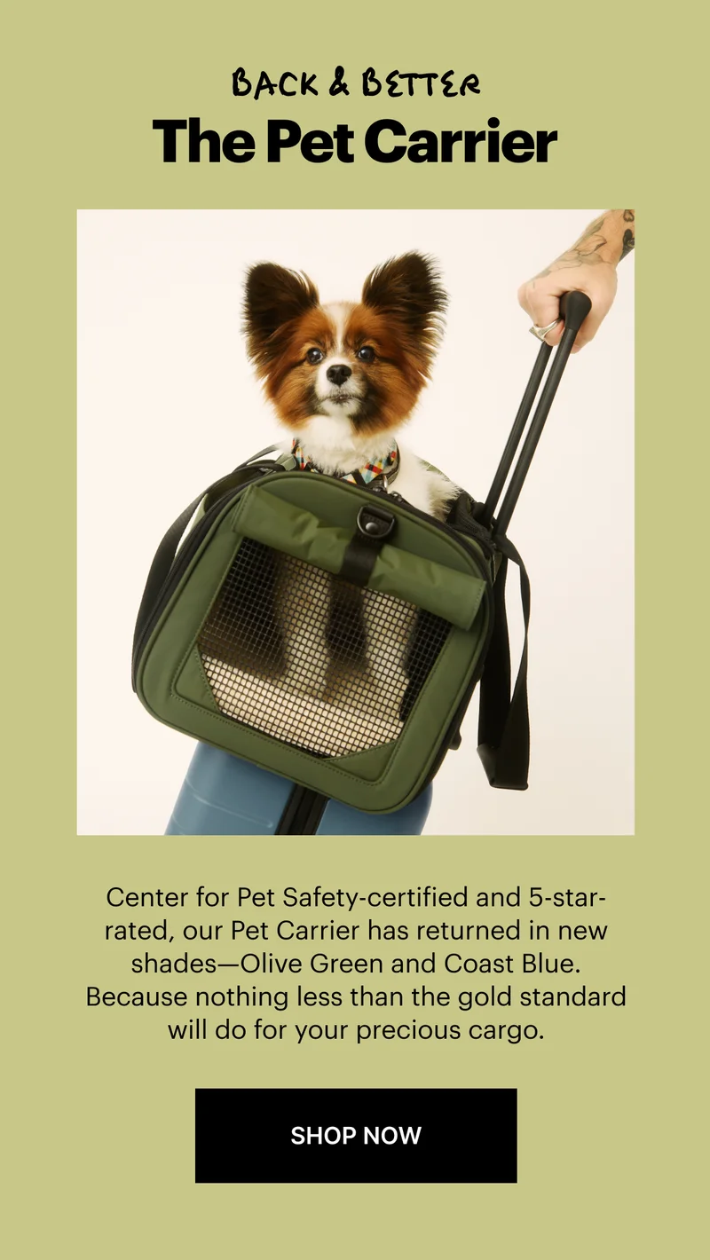 Back & Better: The Pet Carrier