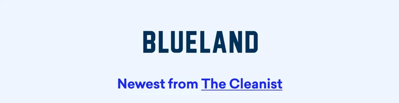 Newest from The Cleanist