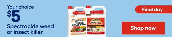 Final Day Your choice $5 Spectracide weed or insect killer