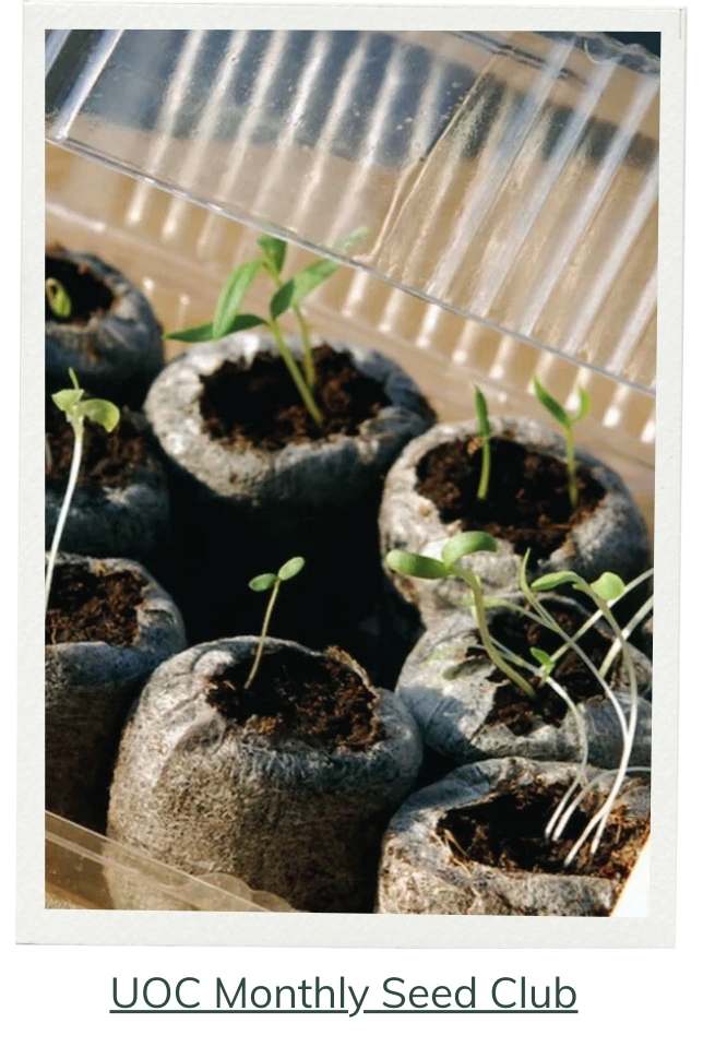 Urban Organic Gardener's Monthly Seed Club