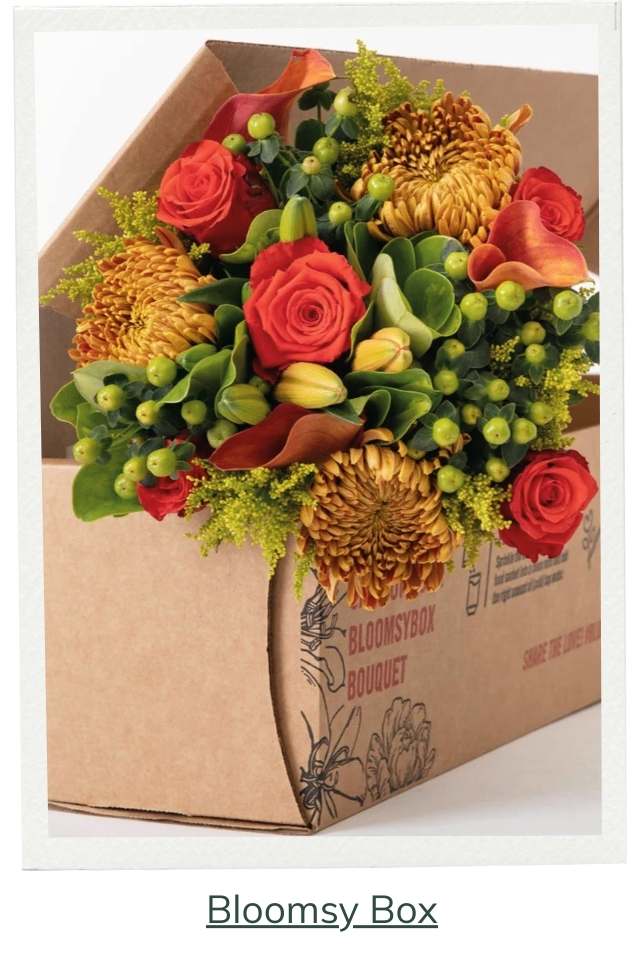 BloomsyBox