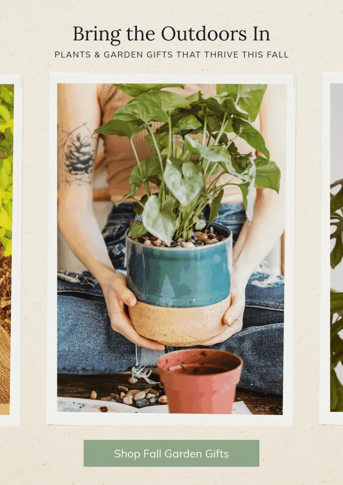 Shop Plants and Garden