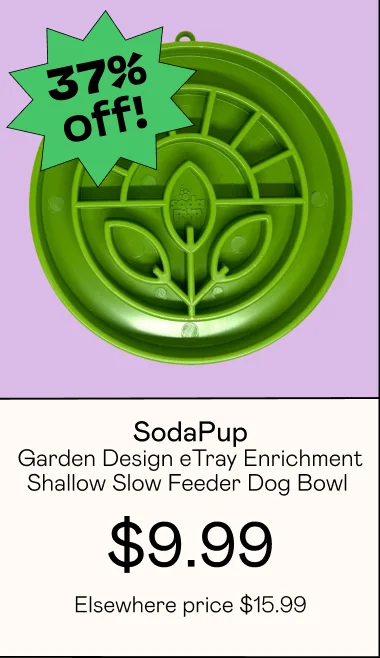 Garden Design eTray Enrichment Shallow Slow Feeder Dog Bowl
