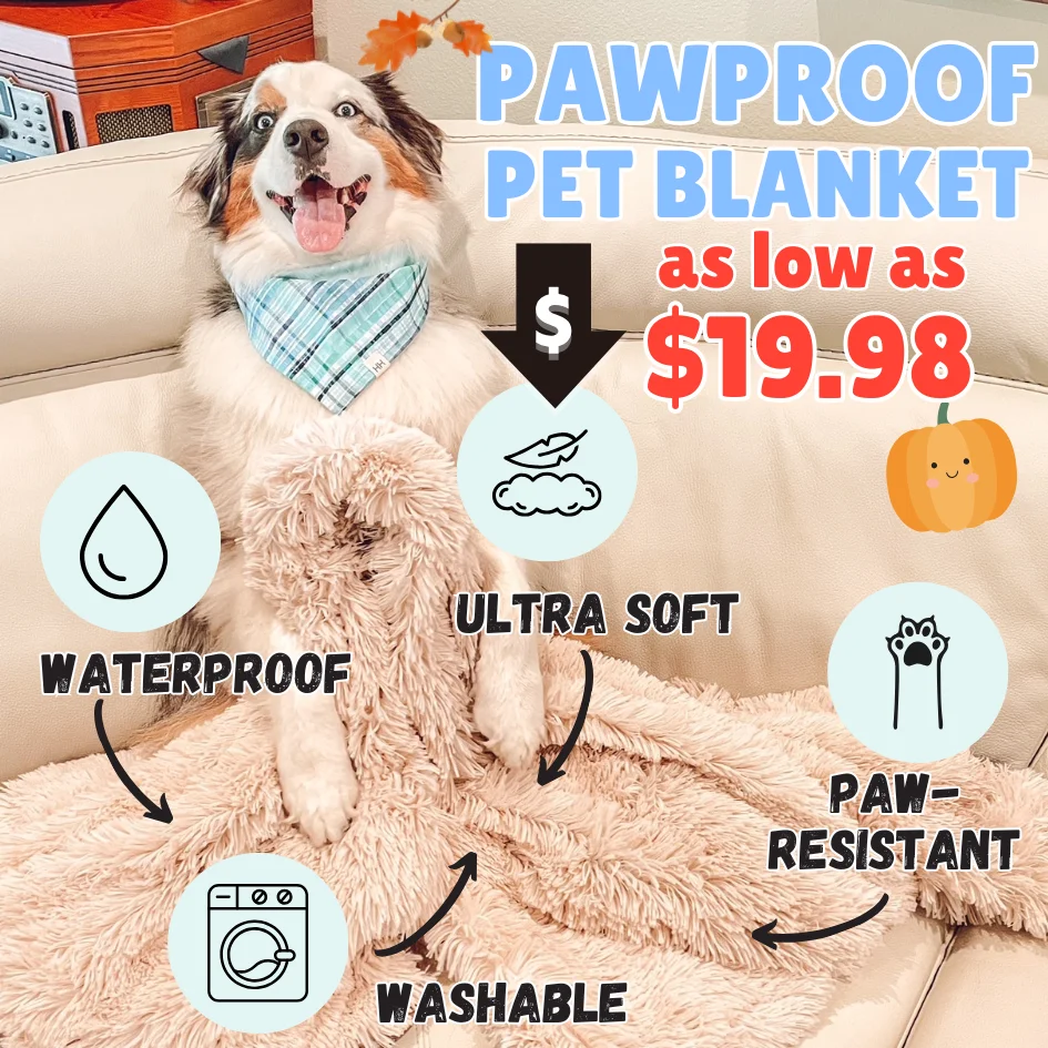 Pawproof pet blanket Pawproof pet blanket