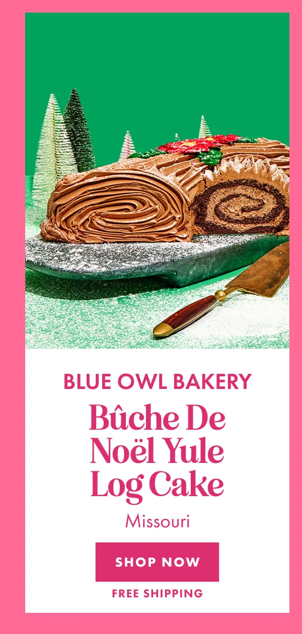 Blue Owl's Christmas Yule Log Cake Blue Owl's Christmas Yule Log Cake
