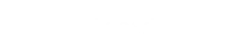 Leesa®