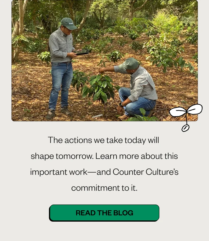 The actions we take today will shape tomorrow. Learn more about this important work—and Counter Culture’s commitment to it. CTA: Read the Blog The actions we take today will shape tomorrow. Learn more about this important work—and Counter Culture’s commitment to it. CTA: Read the Blog