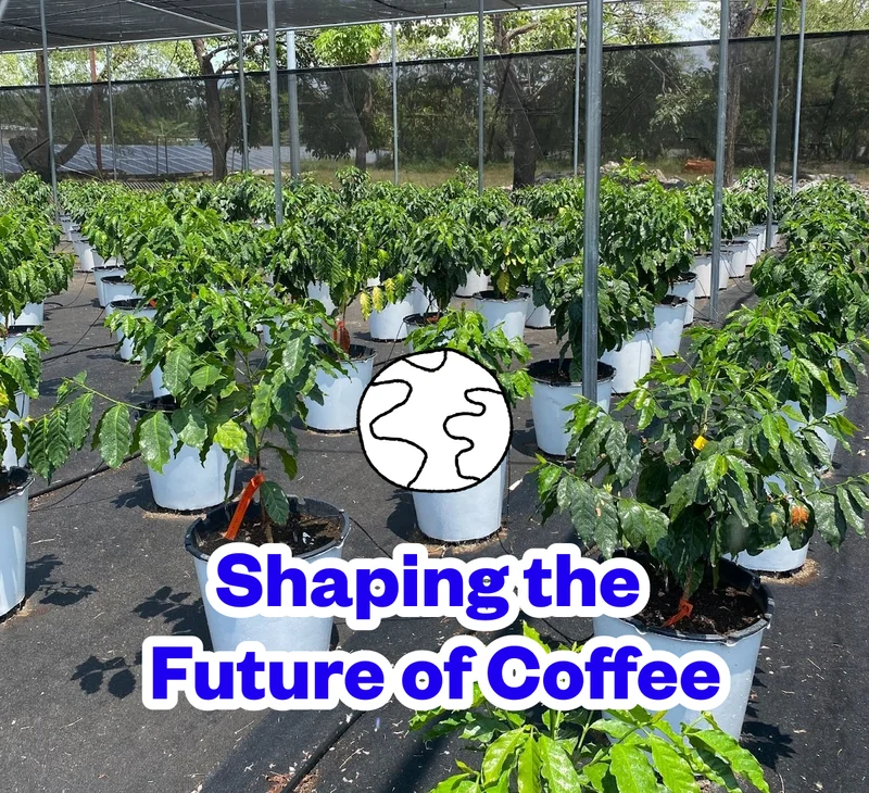 Shaping the Future of Coffee Shaping the Future of Coffee