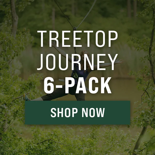 Treetop Journey 6-Pack