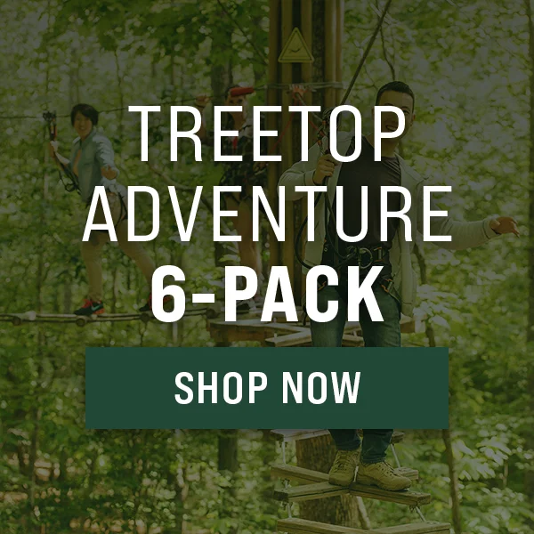 Treetop Adventure 6-Pack