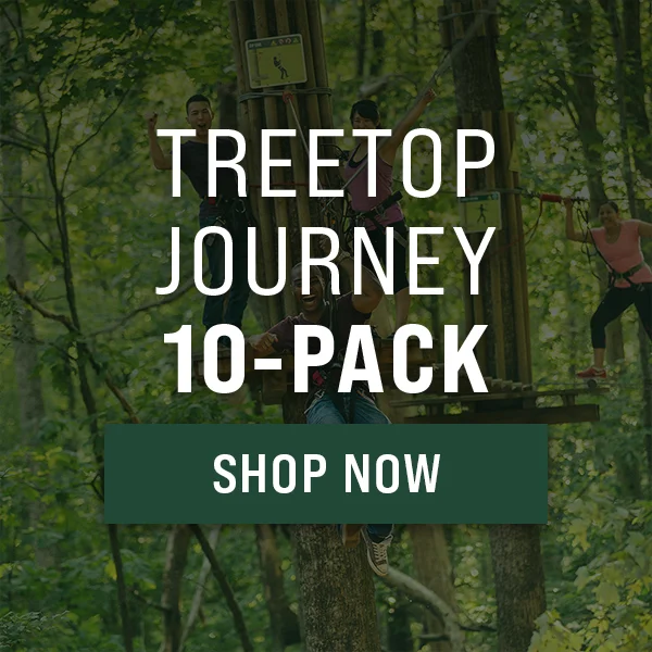 Treetop Journey 10-Pack