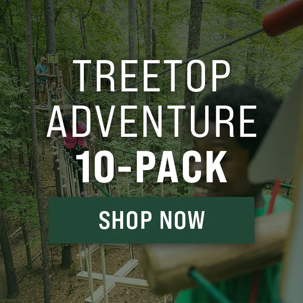Treetop Adventure 10-Pack