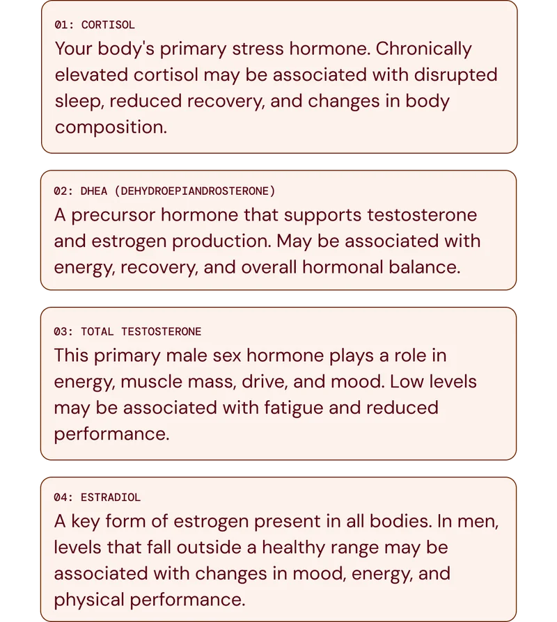 Advanced Testosterone & Performance Biomarkers